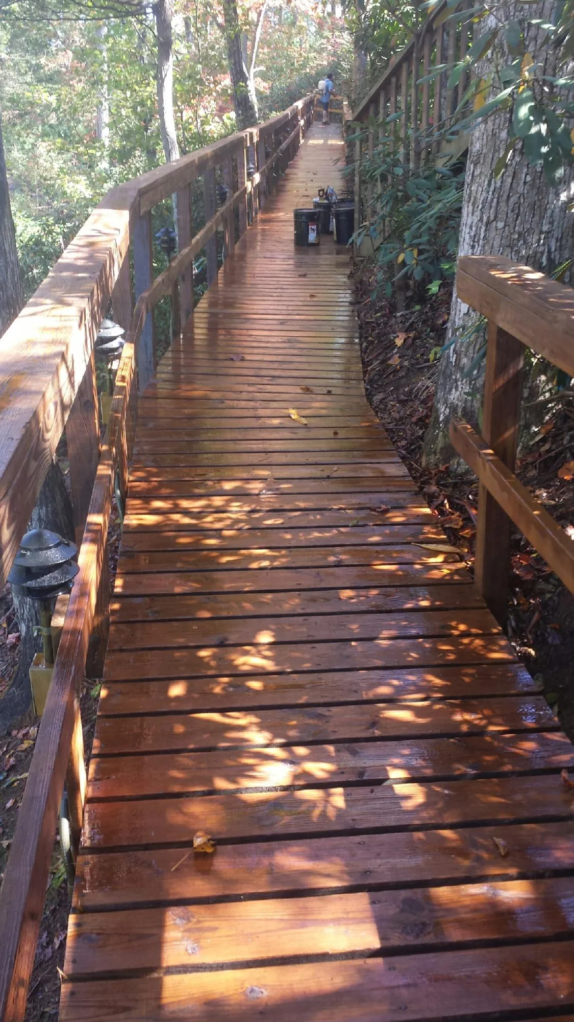 Freshly stained wood walkway winding through the woods in Damascus